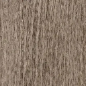 Knallerangebot Forbo Enduro Dryback | 69137DR3 natural grey oak